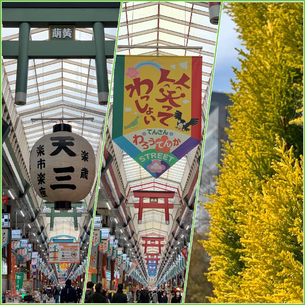 お出かけ先の画像 by Okavangoさん | お出かけ先と冬・OSAKAと毎度!おおさかとWonderful JAPANともしかして春と和食洋食・和色洋色