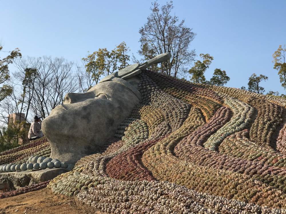広い庭の画像 by Piece of Mind Takayuki Katoさん | 広い庭と多肉植物とモルタル造形と吉坂包装とピクチャーガーデンとオブジェとPiece of Mind