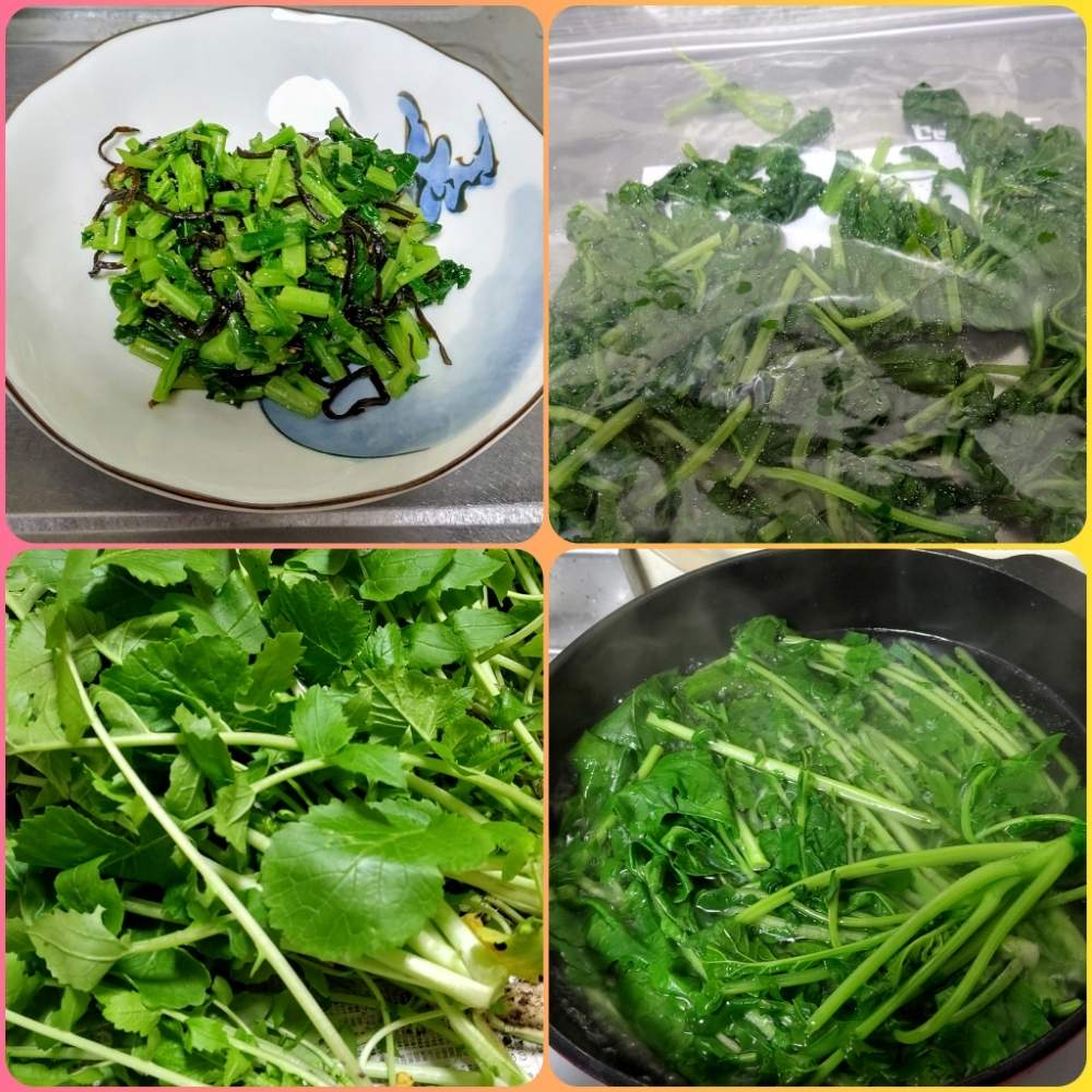 広い庭の画像 by 珊瑚さん | 広い庭と大根の葉っぱと自家野菜のお料理と聖護院大根!と家庭菜園と神戸垂水と花のある暮らしと家庭菜園奮闘日記