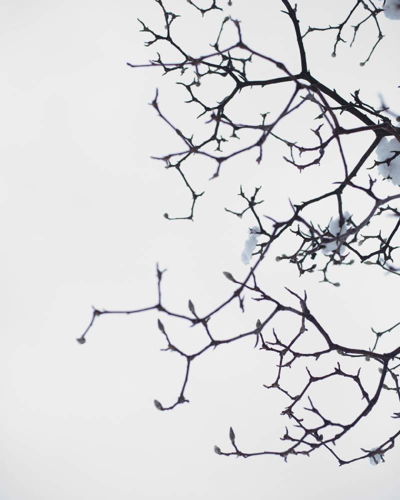 お出かけ先の画像 by satoさん | お出かけ先とnikond750と伏古公園とそらと北海道と札幌と ゆき