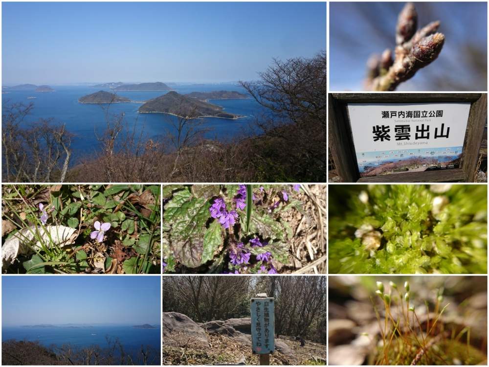 お出かけ先の画像 by たまさん | お出かけ先と野草と紫雲出山とゆるっと苔愛好会とうどん県人会