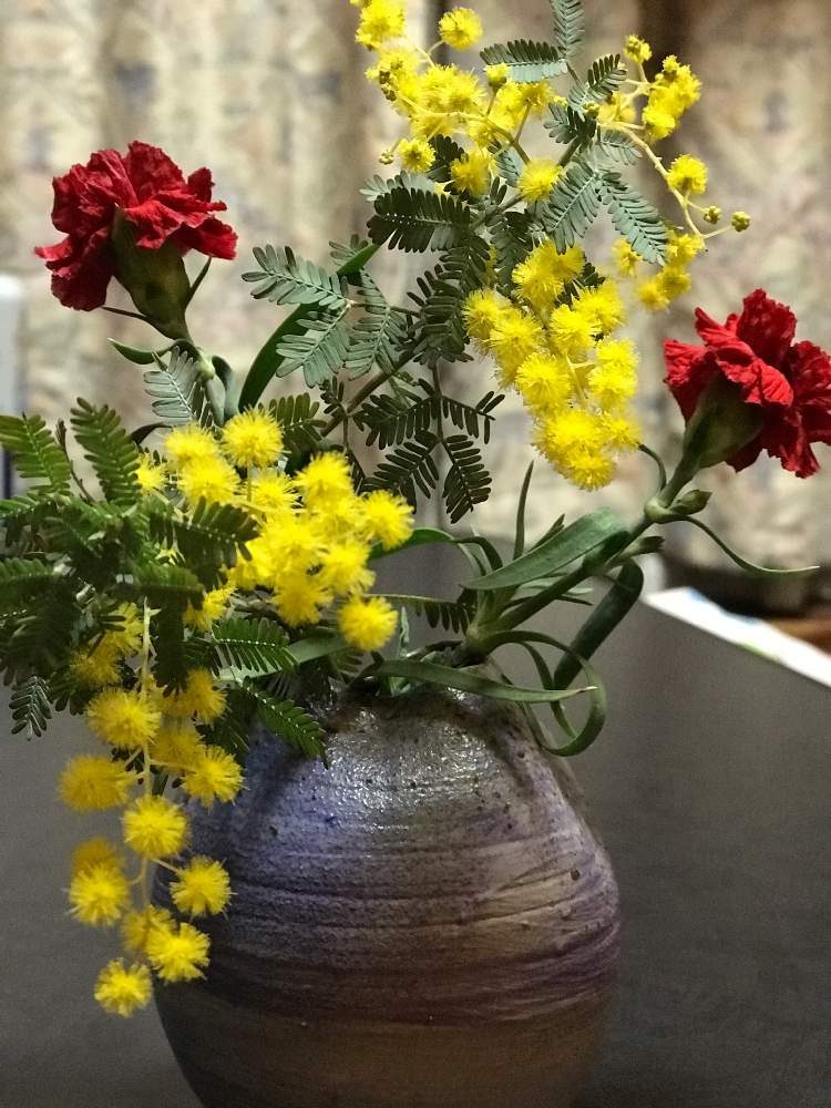 バルコニー/ベランダの画像 by JUNさん | バルコニー/ベランダとひと枝のミモザのお花と ミモザとふわふわとひと枝のミモザの花と女性の花としあわせをはこぶ木とまた来年もとずっとと花のある暮らしと負けないでとアカシアミモザと二人で頑張る