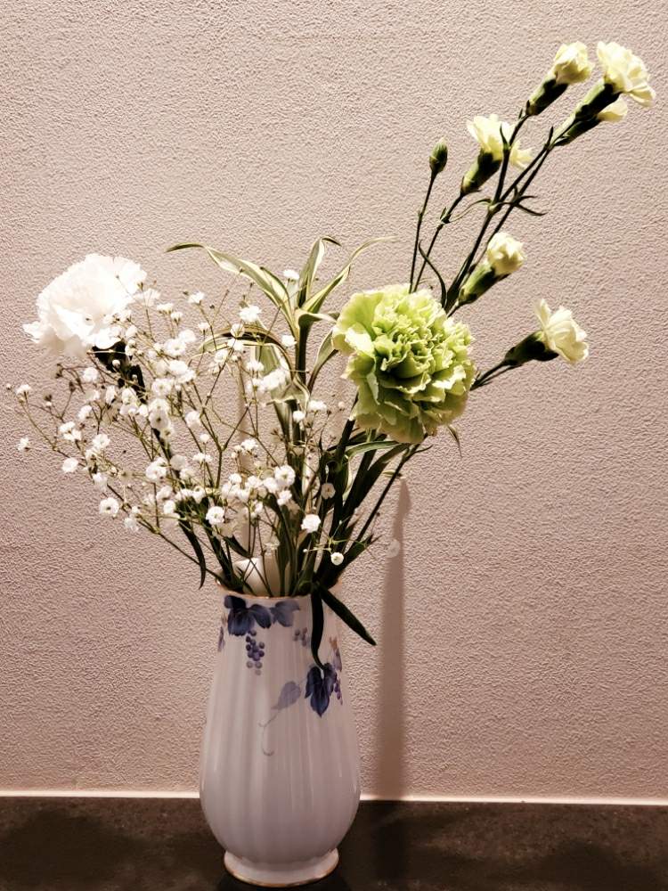 玄関の画像 by マティスさん | 玄関と花のある暮らしとグリーンカーネーションとカーネーション☆とカスミソウ♪