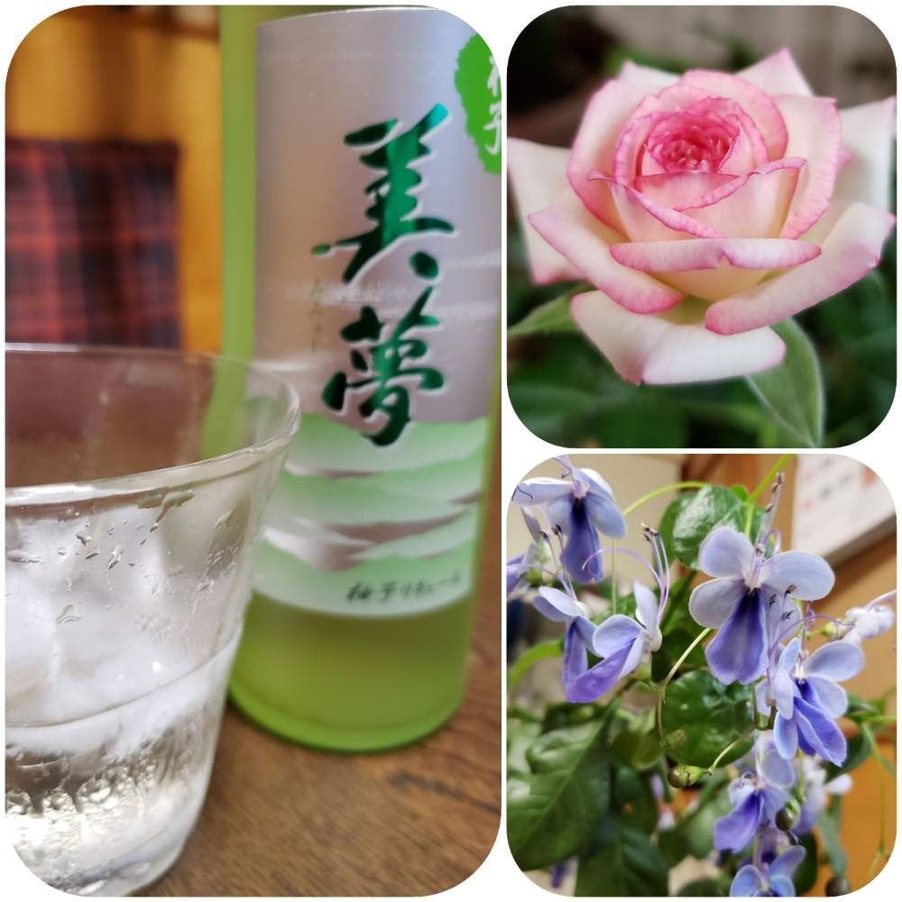 部屋の画像 by 雪花子さん | 部屋と楽しんでますと春のお花と植物愛がとまらないとお花大好きとGSのみなさんに感謝♡と癒しの空間とGS依存症と花に癒されると大好きな花と花のある暮らし