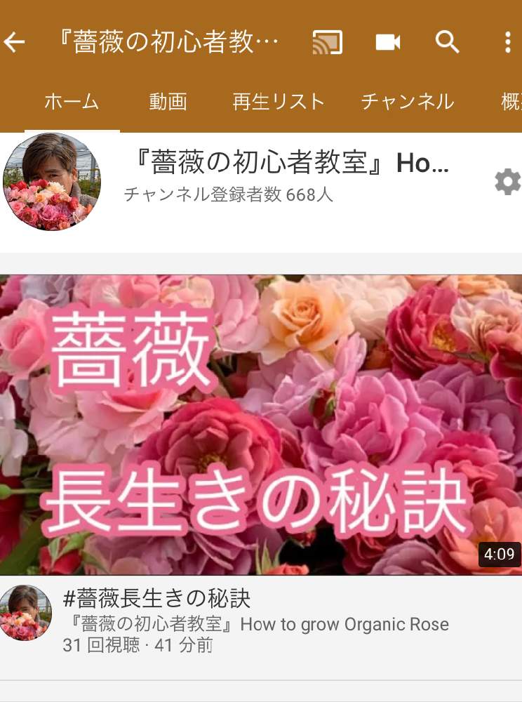 デスクの画像 by 『薔薇の初心者教室』How to grow Organic Roseさん | デスクと花のある暮らしとバラ・ミニバラと薔薇愛同盟と水曜ローズショー
