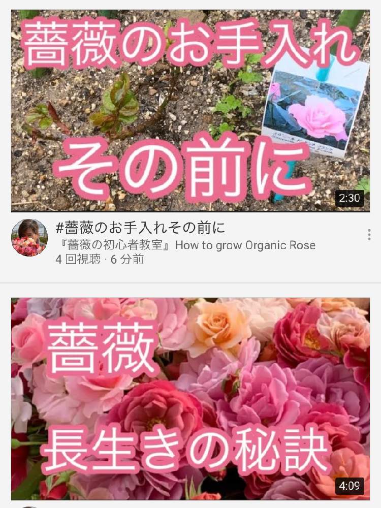 小さな庭の画像 by 『薔薇の初心者教室』How to grow Organic Roseさん | 小さな庭とバラ初心者と薔薇愛同盟と水曜ローズショーとバラの育て方と花のある暮らし