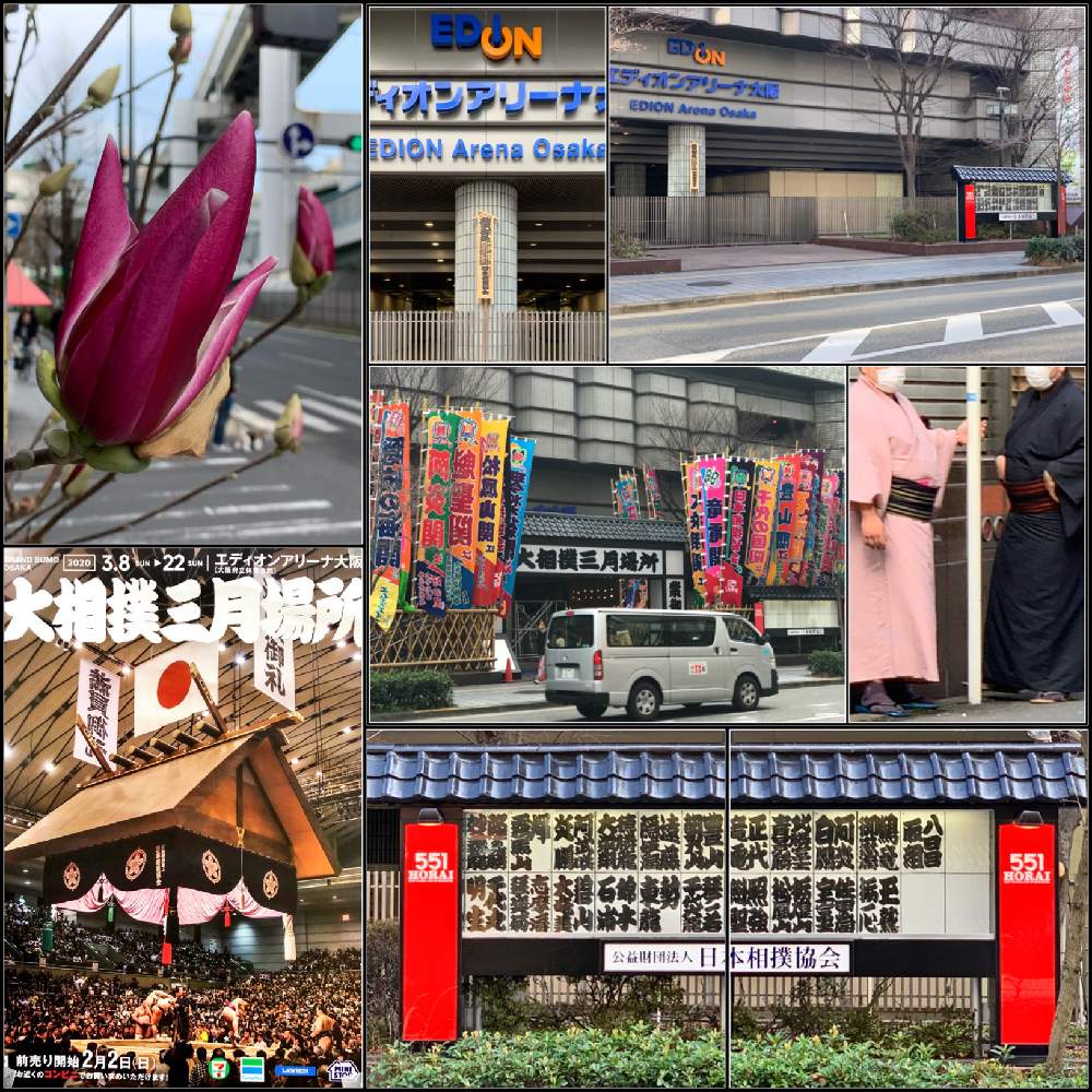 お出かけ先の画像 by Okavangoさん | お出かけ先と紫木蓮(しもくれん)と春・OSAKAとコラージュ de パッチワークと紫・むらさき・バイオレット