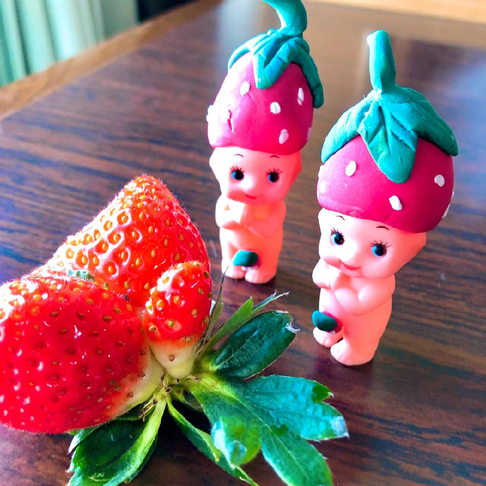 部屋の画像 by ❤︎15さん | 部屋とイチゴとGS映えとミッドナイト投稿と可愛いがぁ❤︎とほーちゃんQPとミットもナイ投稿…笑と毎月15日はいちごの日と花も多肉も好き