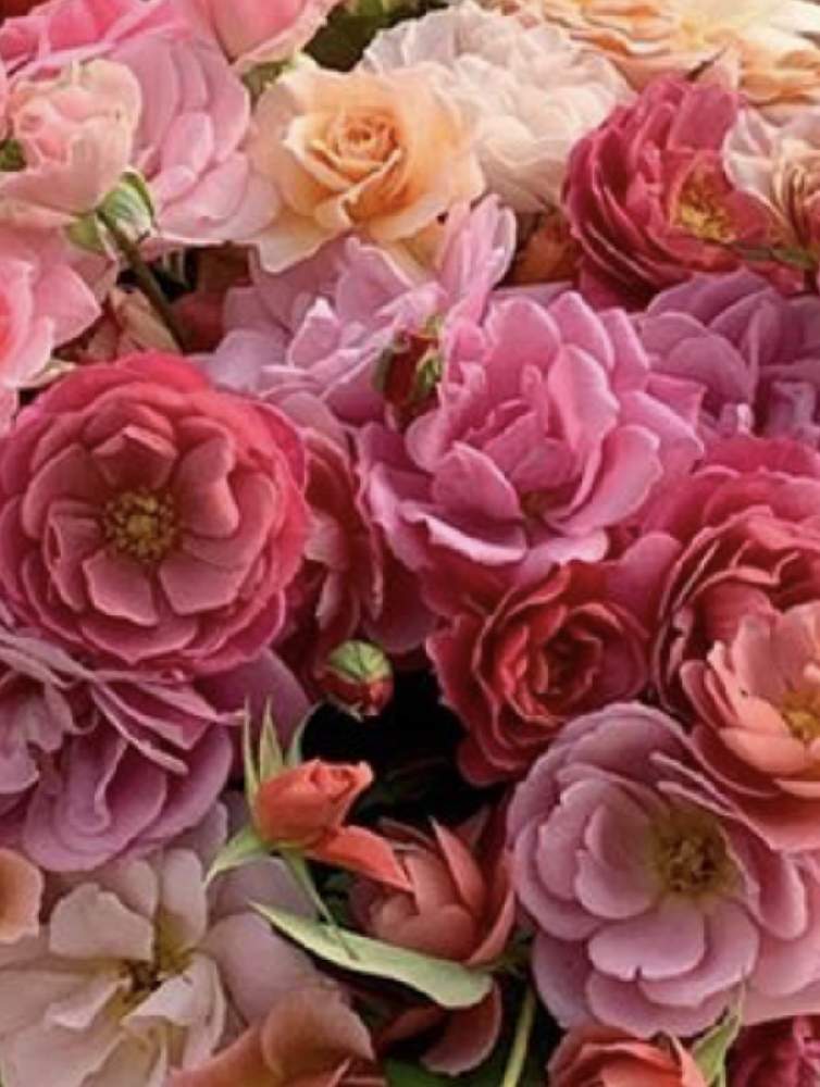 デスクの画像 by 『薔薇の初心者教室』How to grow Organic Roseさん | デスクと花のある暮らしとWABARA