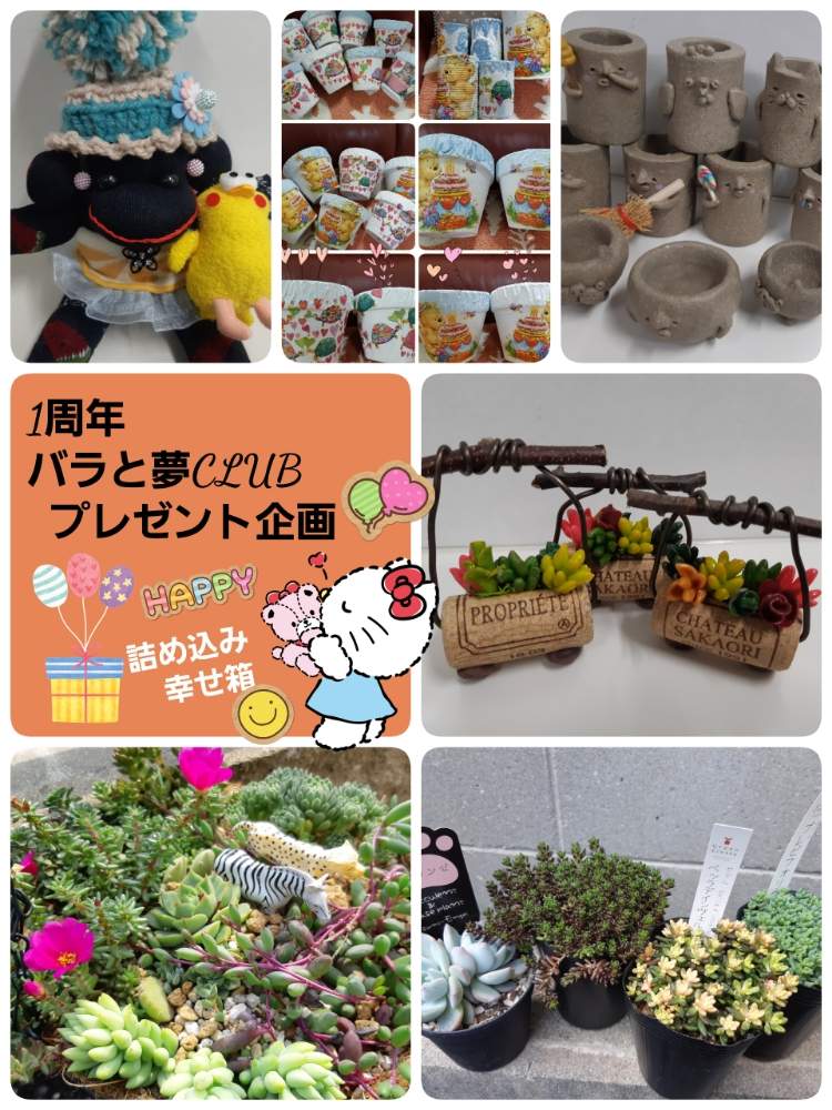 部屋の画像 by haru.kさん | 部屋とバラと夢CLUBと多肉女子とつながりに感謝と花のある暮らしと1周年バラと夢CLUBとリメイク鉢と広島県とプレ企画
