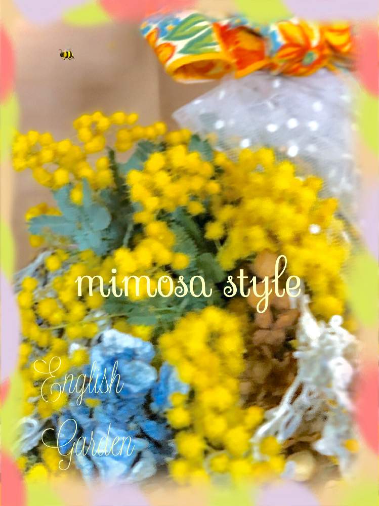 部屋の画像 by イングリッシュガーデンさん | 部屋とアナベルとミモザと紫陽花 ドライフラワーとダスティミラーと恵比寿ガーデンプレスのワイヤーリボンとウェディングベール残りチュールレースと ミモザとミモザのスワッグとかわいい♡とスワッグとドライフラワー スワッグとGS映えと綺麗なお花とEGアレンジメントとLUMIX DMC-L10と可愛いと花のある暮らしとEGドライフラワーとGSアダルトチームとかわいいな♡と色合いがキレイとチーム愛知