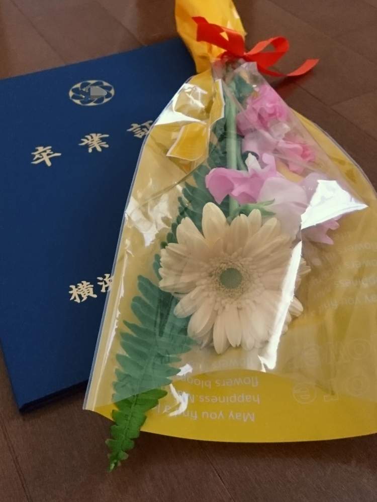 部屋の画像 by non-sugarさん | 部屋とガーベラとスイートピーとタマシダと卒業式と小学校とおめでとうと新型コロナウィルスに負けるな