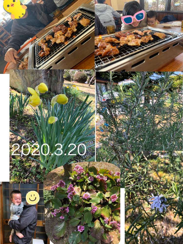 お出かけ先の画像 by ピンクの山茶花さん | お出かけ先とつぼみとおでかけ先と蕾みシリーズと花のある暮らしとGSアダルトチーム