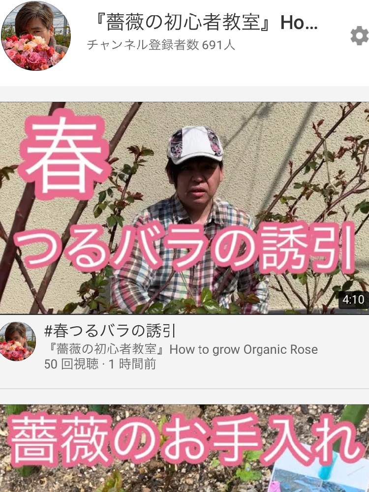 デスクの画像 by 『薔薇の初心者教室』How to grow Organic Roseさん | デスクとバラ・ミニバラと薔薇愛同盟とバラの育て方と水曜ローズショー