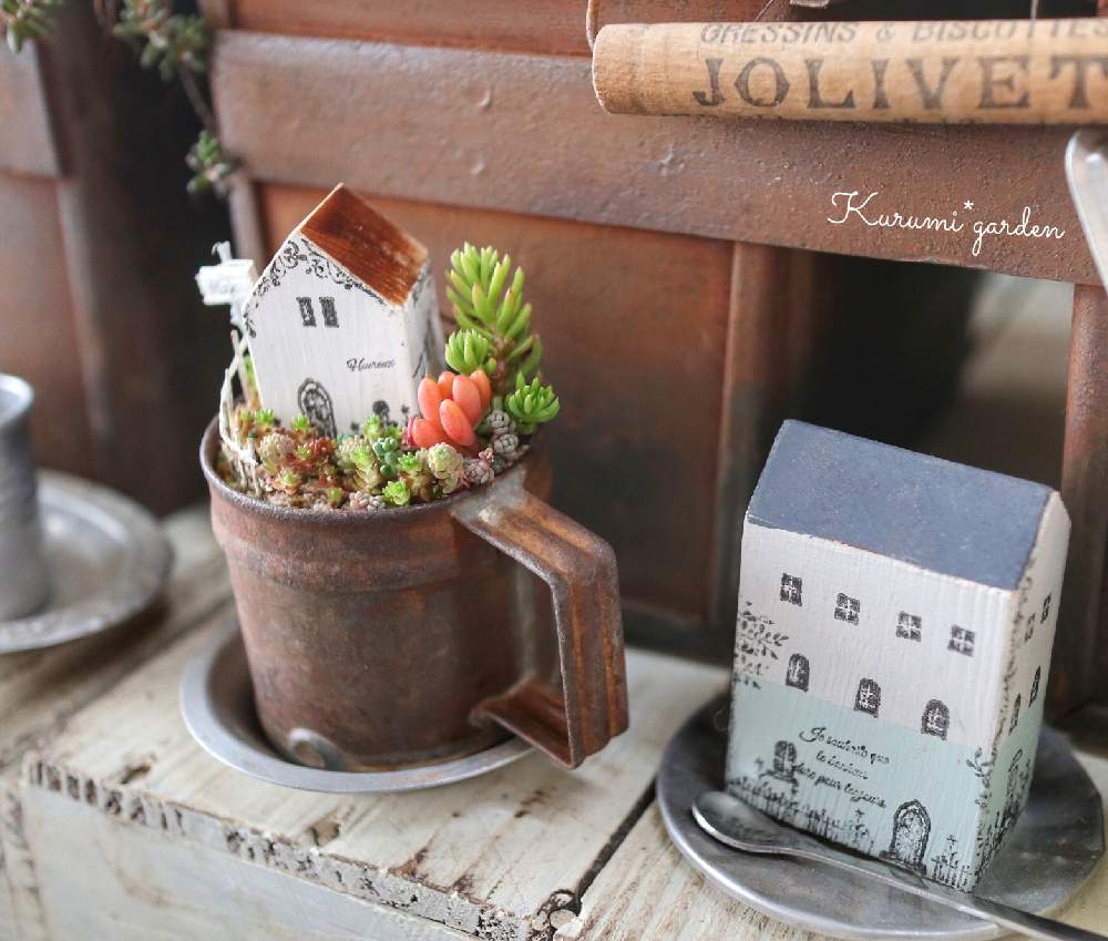 の画像 by くるみ*さん | セダム寄せと多肉植物 寄せ植えと箱庭と箱庭 多肉植物とヴィンテージカップとミニチュアガーデンと手のひらガーデンとkurumi gardenと悲しいお知らせとミニチュアと多肉植物のすてきアレンジと暮らしを楽しむとくるみガーデンとお知らせと多肉女子と古道具のある暮らしと小さな小さな庭と小さな世界とKurumi*gardenとミニミニハウスとちまちま寄せ