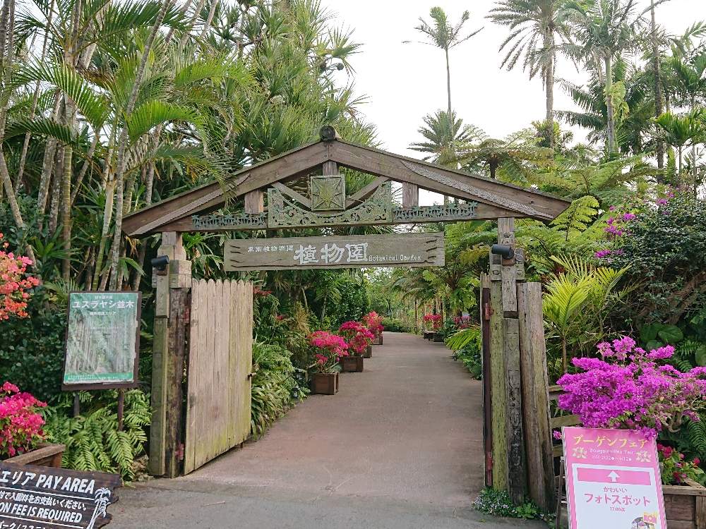 お出かけ先の画像 by botanicallifeさん | お出かけ先と東南植物楽園と植物園巡りと植物園巡り/botanicallifeとbota travelとbota 沖縄