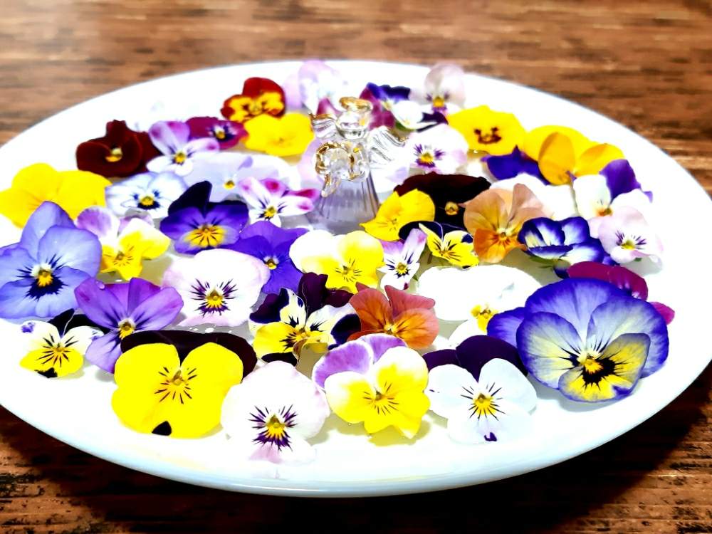 キッチンの画像 by ますださんさん | キッチンと春のお花とおうちフラワーフォトコンテストと花のある暮らしとかわいいと大好きビオラとエンジェル祭りと『おうち園芸』フォトコンテスト