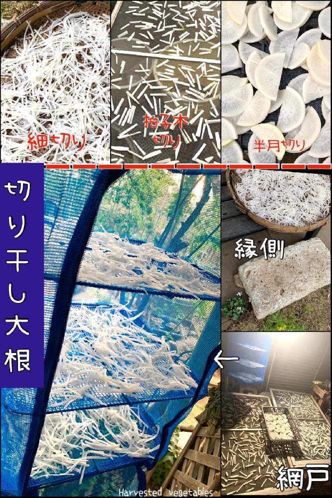 キッチンの画像 by kane flowerさん | キッチンとダイコンと種取り大根と埼玉県と家庭菜園奮闘日記と無農薬有機栽培と無農薬 無化学肥料栽培
