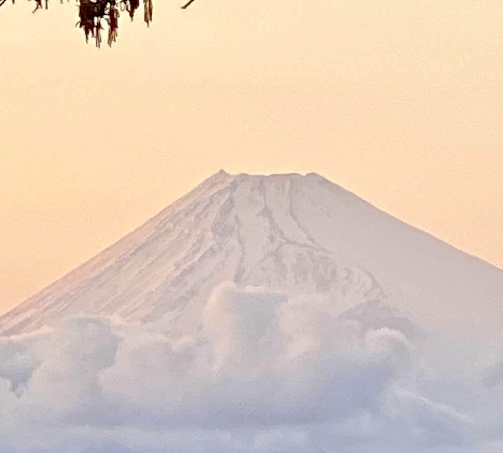 の画像 by 木猫さん | 空と富士山と自然はARTだ!と美‼️と山荘便りと春満開♪と99%の幸せと花のある暮らしとGREEN UP!