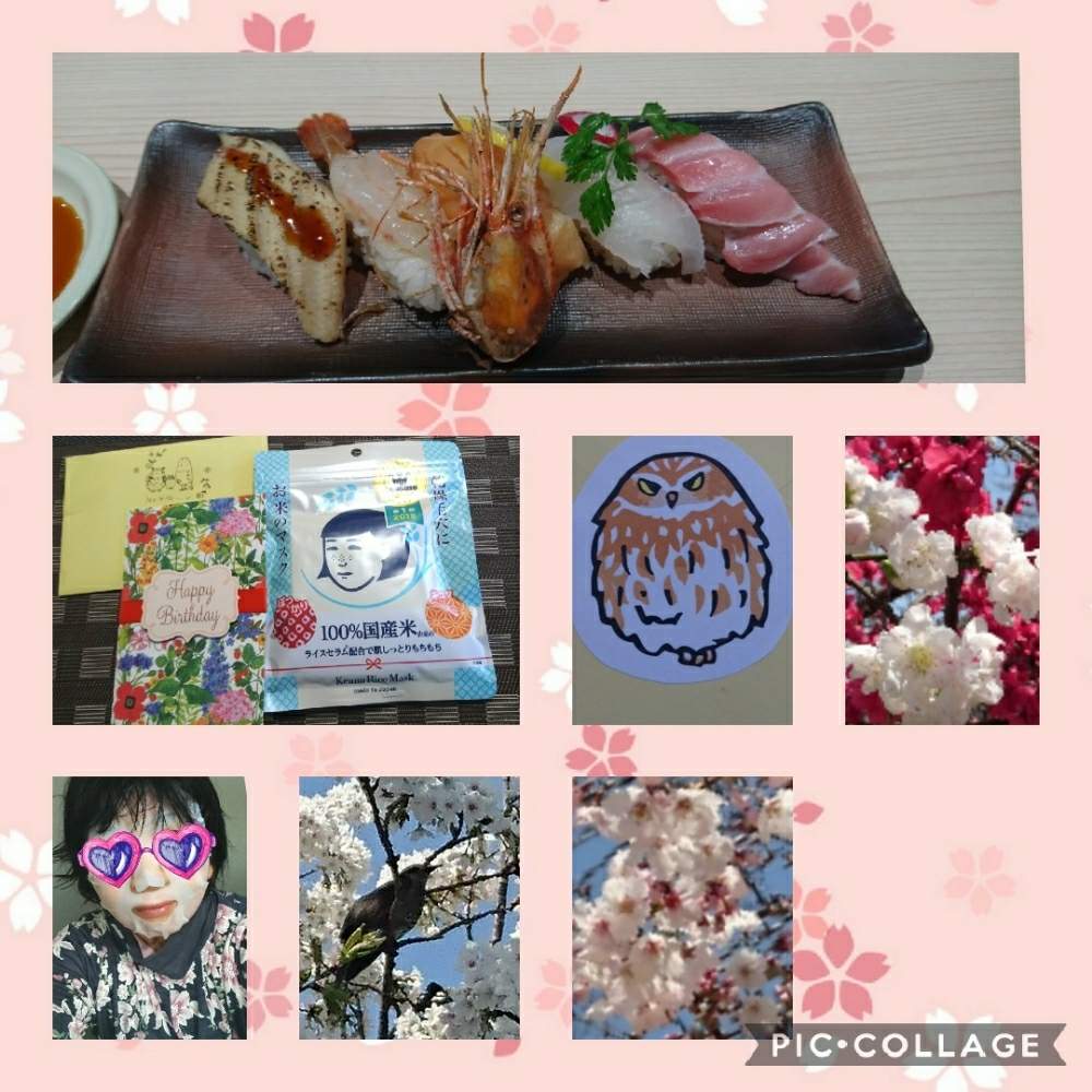 お出かけ先の画像 by トリトンさん | お出かけ先とハナモモとソメイヨシノと青空とコラボ♡と元気だしてとキュンキュン乙女倶楽部とありがとう♡とかわいい♡といやされる♡とありがとう♡嵐♡とピンク❤︎ピンクとGS映えとGS日和とキュンキュン乙女倶楽部No.183と青空とコラボレーションと神奈川県と青空に映える