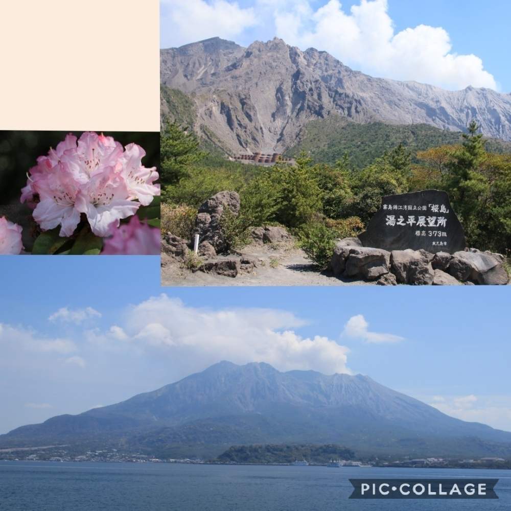 お出かけ先の画像 by やまちゃん~旅~さん | お出かけ先とシャクナゲと九州と旅の風景と九州の旅と鹿児島仙巌園と桜島の風景