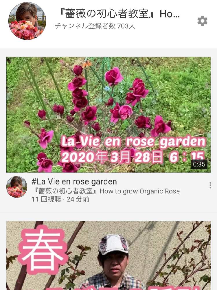小さな庭の画像 by 『薔薇の初心者教室』How to grow Organic Roseさん | 小さな庭とナチュラルガーデンとmy garden
