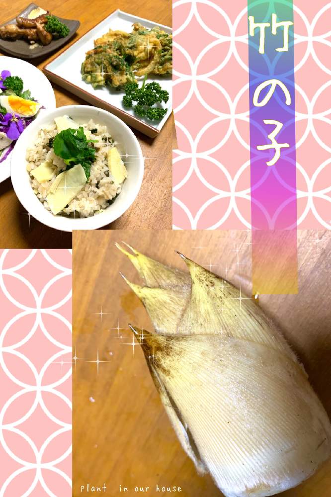 の画像 by kane flowerさん | セリとセリとドクダミとユキノシタとタケノコとタケノコとミツバとヨモギと中ぐらいの庭と埼玉県と花のある暮らしと家庭菜園奮闘日記と無農薬有機栽培と無農薬 無化学肥料栽培