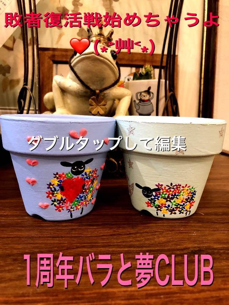 部屋の画像 by コニー✨さん | 部屋と多肉植物とプレゼント企画とひつじ鉢とGS映えとバラと夢CLUBとリメ鉢とタニラーとプレ企画敗者復活戦と毎日お疲れとプレ企画と1周年バラと夢CLUBとリメイク鉢