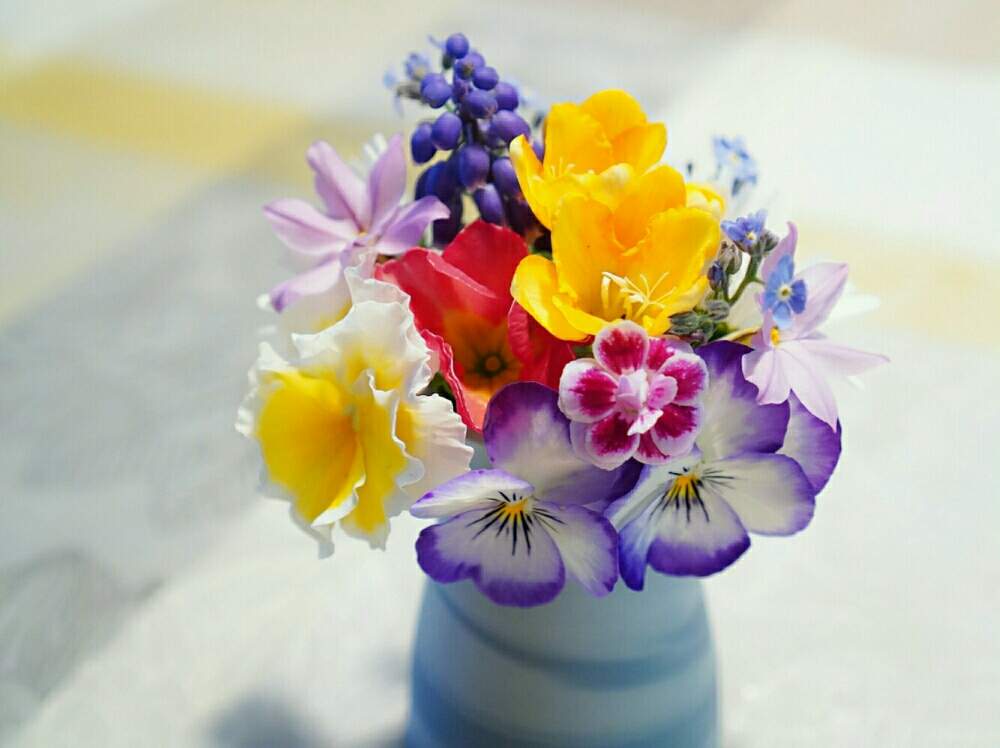 インテリアの画像 by ちー*さん | インテリアと花のある暮らしと春のお花とおうちフラワーフォトコンテスト