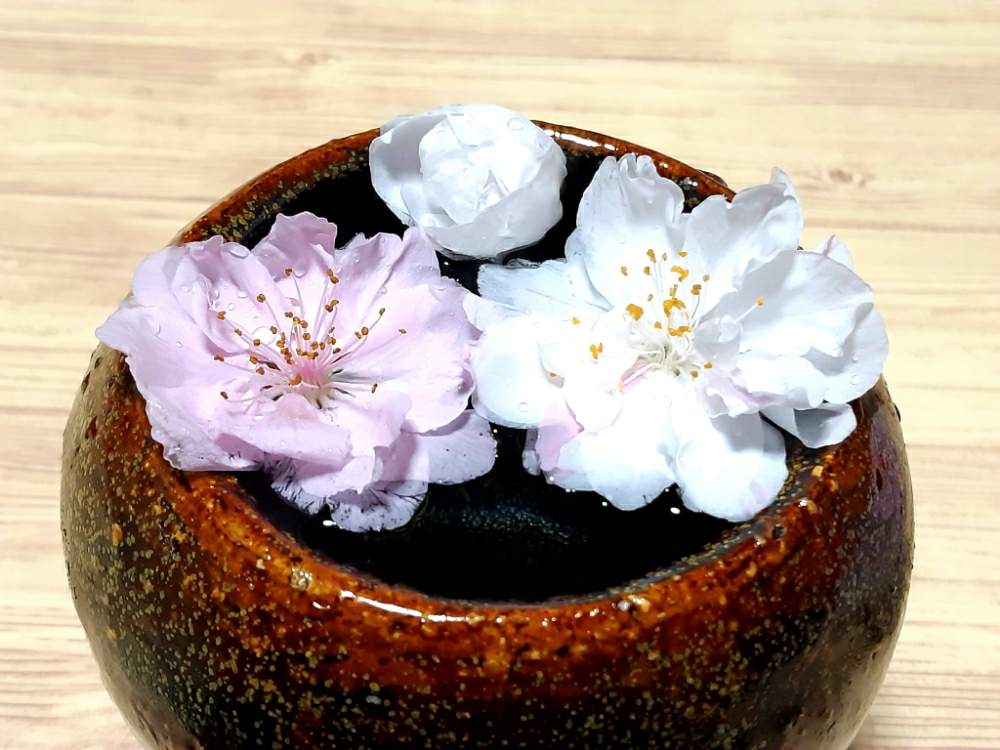 和室の画像 by ますださんさん | 和室と春のお花とピンクの花とハナモモ♡と花のある暮らしとかわいいと白い花