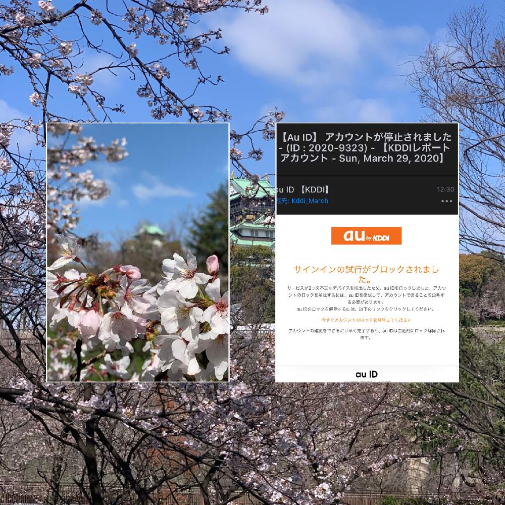 お出かけ先の画像 by Okavangoさん | お出かけ先とさくら サクラ 桜と春・OSAKAとiPhone 物語と桜・もも・ピンク