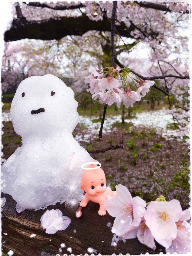 お出かけ先の画像 by うめこさん | お出かけ先と季節のお花とキュンキュン乙女倶楽部