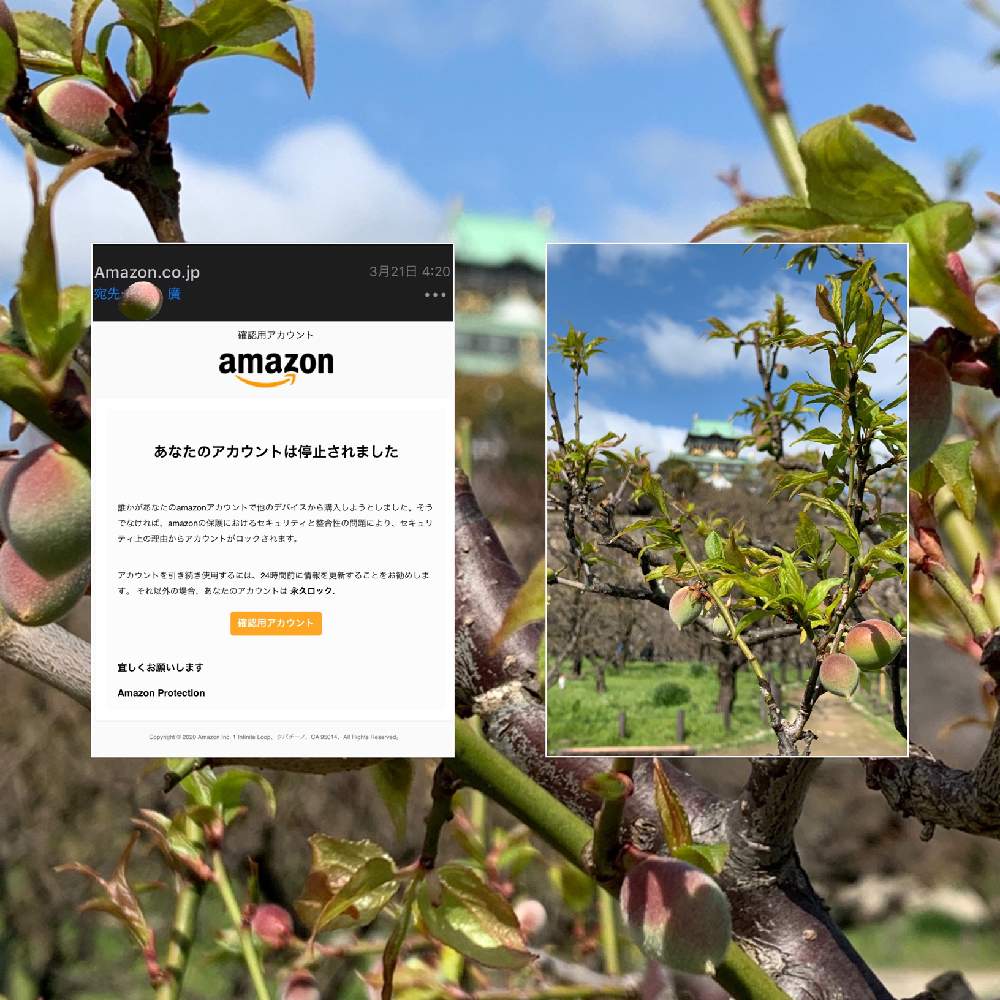 お出かけ先の画像 by Okavangoさん | お出かけ先と梅の実とiPhone 物語と大阪城公園の四季と春・OSAKAと大阪城公園の梅林