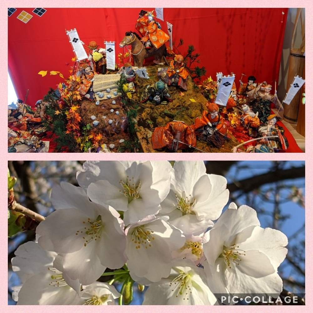 お出かけ先の画像 by まーさん | お出かけ先と花のある風景と森のおひな祭りと福よせ雛