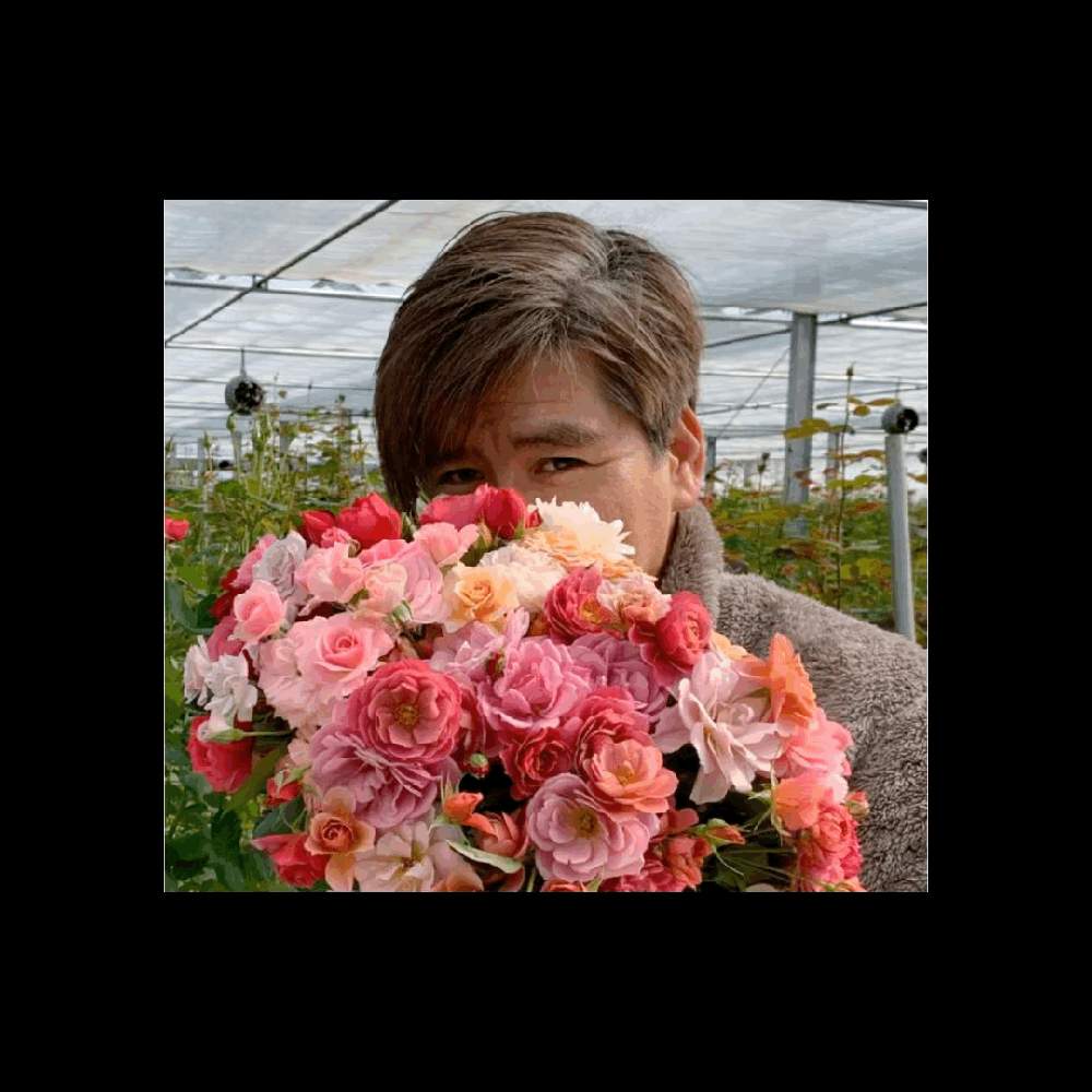 デスクの画像 by 『薔薇の初心者教室』How to grow Organic Roseさん | デスクとファン倶楽部発足しましたとラビアンローズ 薔薇とYouTuberとファン倶楽部とClub La Vie en roseと薔薇の初心者教室と『薔薇の初心者教室』How to grow OrganicRose ファン倶楽部