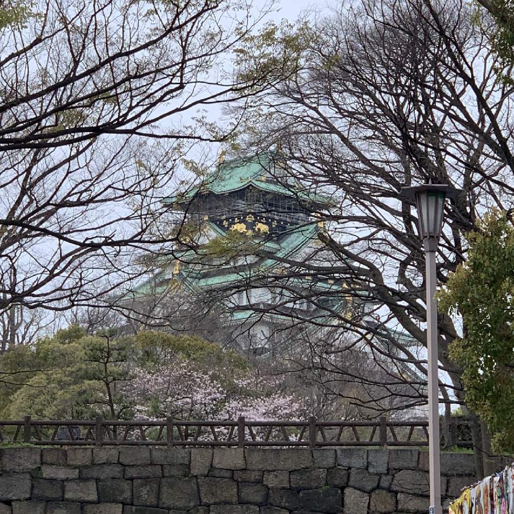 お出かけ先の画像 by Okavangoさん | お出かけ先と欅の木と春・OSAKAと大坂城とWonderful JAPANと城郭・天守閣
