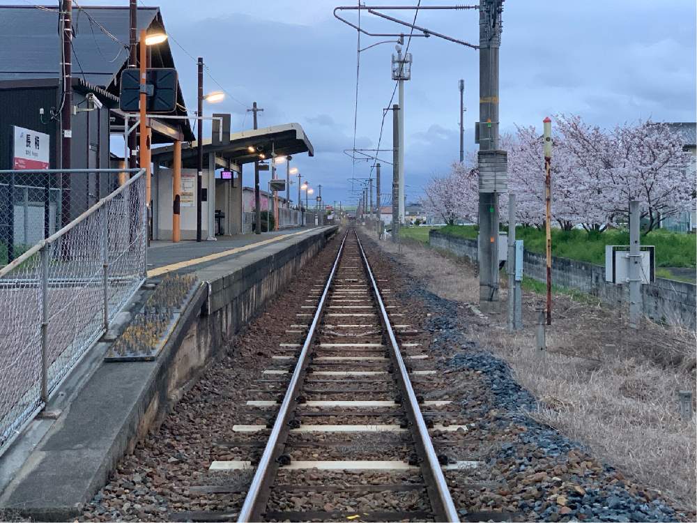 お出かけ先の画像 by Okavangoさん | お出かけ先とさくら サクラ 桜と春・大和路と2020桜フォトコンと三春色と春・萌ゆとWonderful JAPANとチラッとだけ公開と桜・もも・ピンク