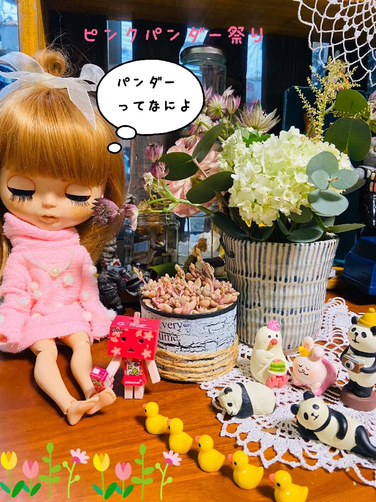 部屋の画像 by BAKECAFE nicheさん | 部屋と姫秋麗と花芽と多肉植物とHTCとキュンキュン乙女倶楽部と姫秋麗(ひめしゅうれい)とBAKECAFE nicheとピンクパンダー祭とHTC広報部長