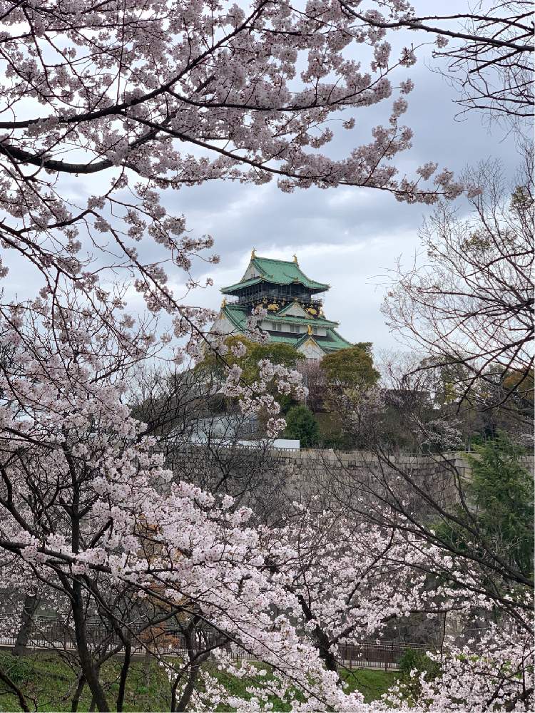 お出かけ先の画像 by Okavangoさん | お出かけ先とさくら サクラ 桜とGSお出かけネットと三春色と大阪城公園の四季と春・OSAKAと春・萌ゆとThis morning!と大坂城と城郭・天守閣と桜・もも・ピンクと2020桜フォトコン