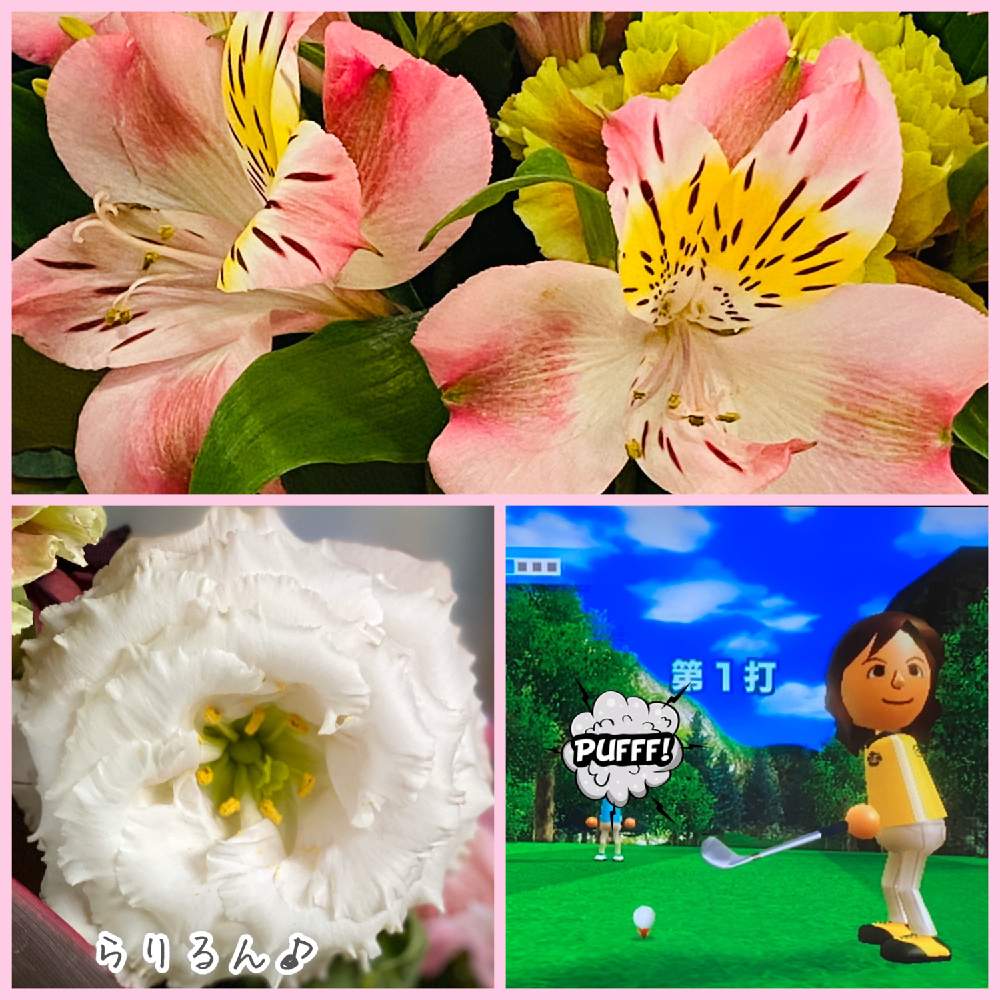 の画像 by らりるん♪さん | アルストロメリアとトルコキキョウと八重咲きトルコキキョウと花のある暮らしとアルストロメリア~とお家で自然を感じると新型コロナウィルスに負けるな