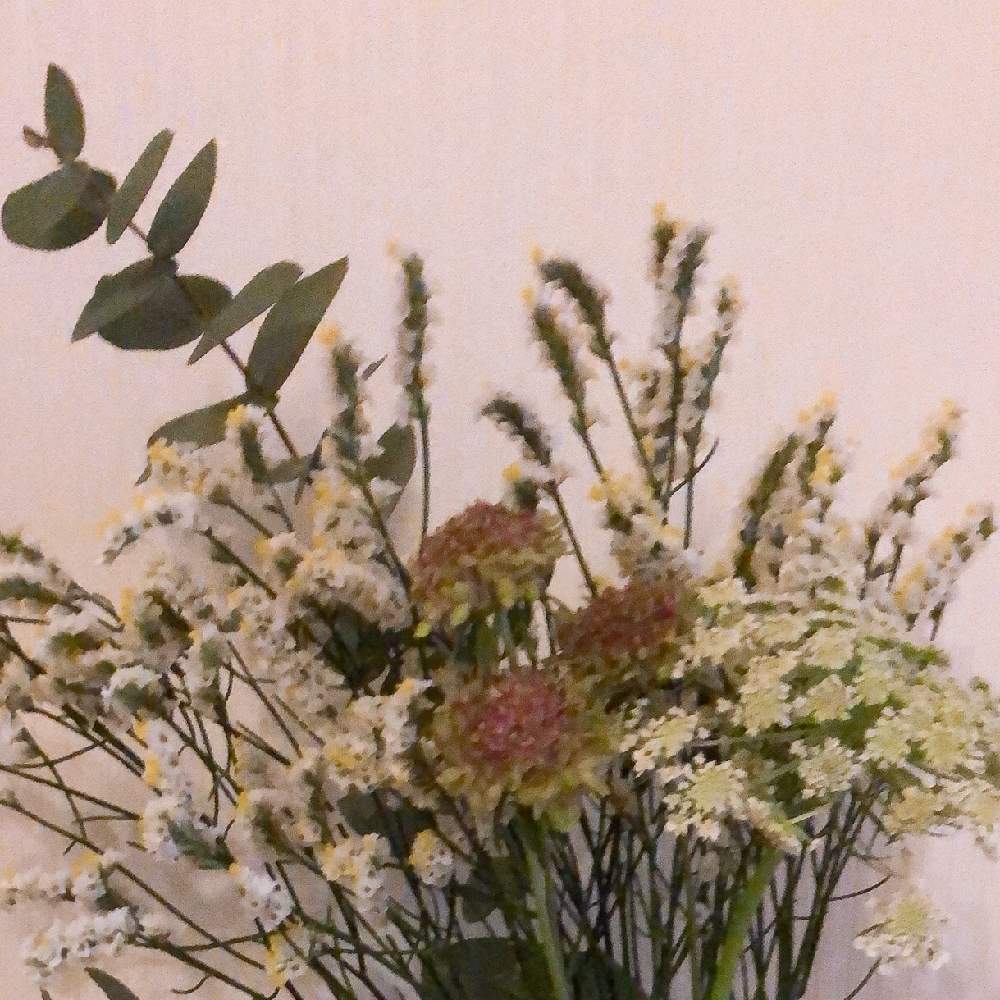 部屋の画像 by michelle.hさん | 部屋とスターチスとユーカリとホワイトレースフラワーとスカビオサとドライフラワーと切花とWアンプルとiPhone8と花のある暮らしとレインボー薬品