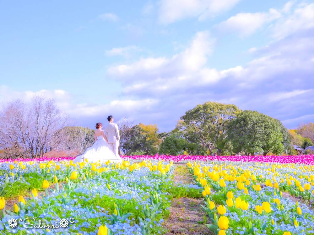 畑の画像 by satomiiさん | 畑と癒しと チューリップと鶴見緑地公園とチューリップフォトコン2020