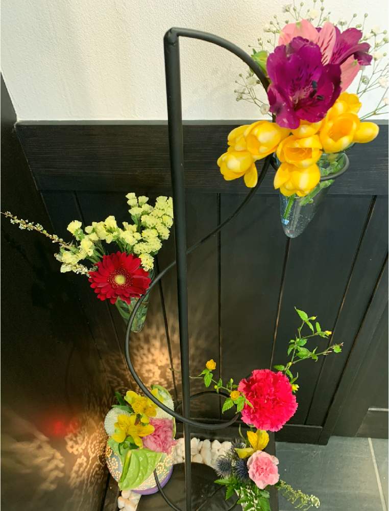 和室の画像 by 茶々のお庭さん | 和室とカーネーションとガーベラと山吹とアルストロメリアとHTCとWEEKEND FLOWERと花いっぱいプロジェクトとおうちフラワーフォトコンテストとおうち園芸とこういう時こそお花を飾ろうとゆるキャラ倶楽部と花のある暮らしとチーム・ブルーと茶々の家
