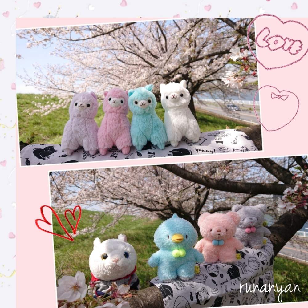 お出かけ先の画像 by るなにゃんさん | お出かけ先とソメイヨシノと花散歩と桜 ソメイヨシノとご近所さんぽ、とぬいぐるみとご近所とみるくとさくらとぬい撮り