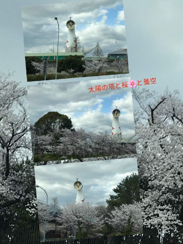お出かけ先の画像 by 92Aさん | お出かけ先とさくら サクラ 桜と桜 さくらと2020桜フォトコンとピンクの花とおはなとGS映えと美しく咲くと可愛いと花のある暮らしといやされるとGREEN UP!と花が咲く