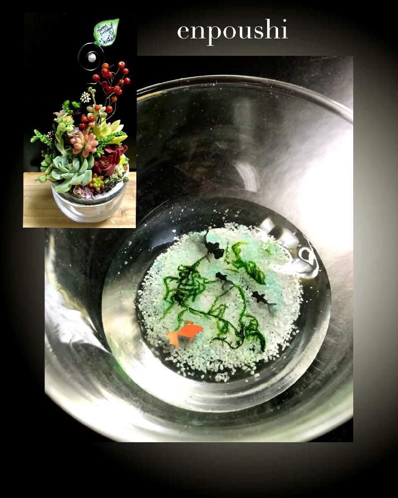 の画像 by まーるさん | 多肉植物とよせ植えとハンドメイド 鉢と多肉植物寄せ植えとリメ缶・リメ鉢とオーダー品と多肉寄せ植え