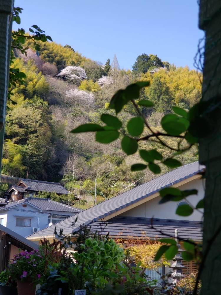 玄関の画像 by 天空のバラの五線譜さん | 玄関とイングリッシュガーデンとバラ・ミニバラと里山と地元の桜