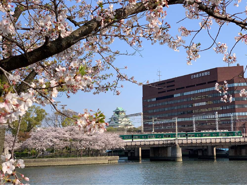 お出かけ先の画像 by Okavangoさん | お出かけ先とさくら サクラ 桜と2020桜フォトコンと春・OSAKAと春・萌ゆと毎度!おおさかと大坂城