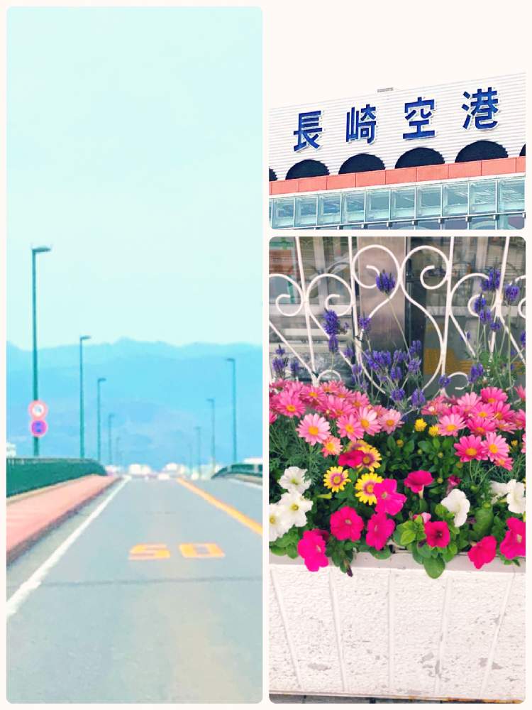 お出かけ先の画像 by ロールケーキ(o^^o)さん | お出かけ先とお疲れ様です♡と長崎とお花ってカワイイと夫婦でと花のある暮らしとstay home