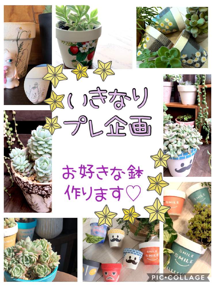 の画像 by くるとん**さん | 多肉植物とたにおたくらぶNo.147とヒヤミカチ首里城!と神奈川タニラーとno green no lifeと緑のある暮らしと多肉ラボ©とくるとん**のリメ鉢とプレ企画とたにおたくらぶと繋がりに感謝✨